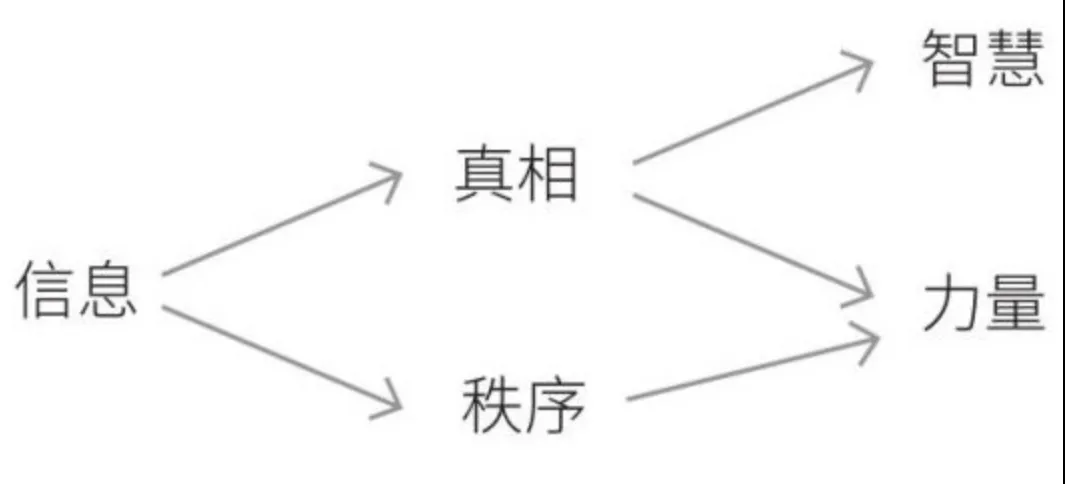 复杂的信息观
